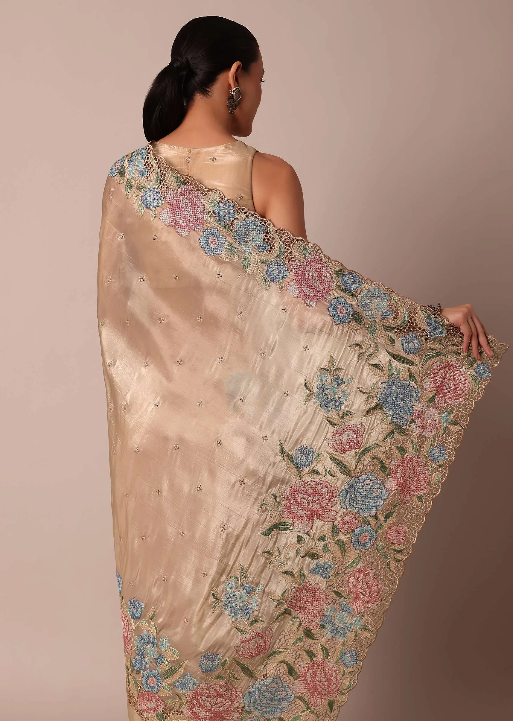 Beige Tissue Silk Saree With Resham Thread Embroidery
