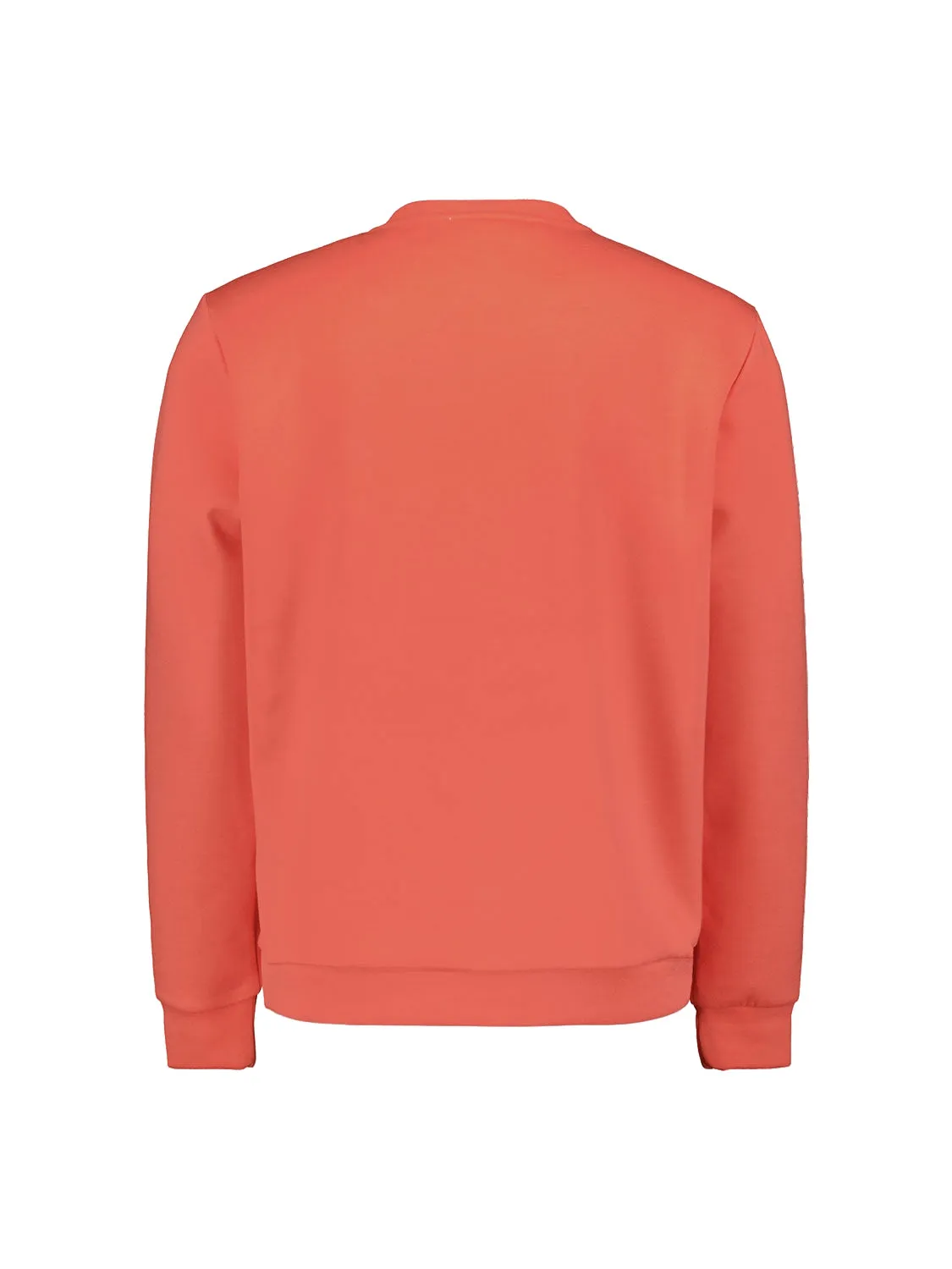 Sweater Crewneck | Melon